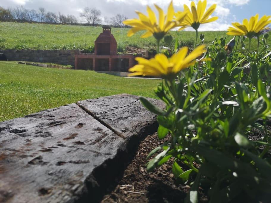 Casa Rural Los Riveros De Jeromo Selaya Zewnętrze zdjęcie