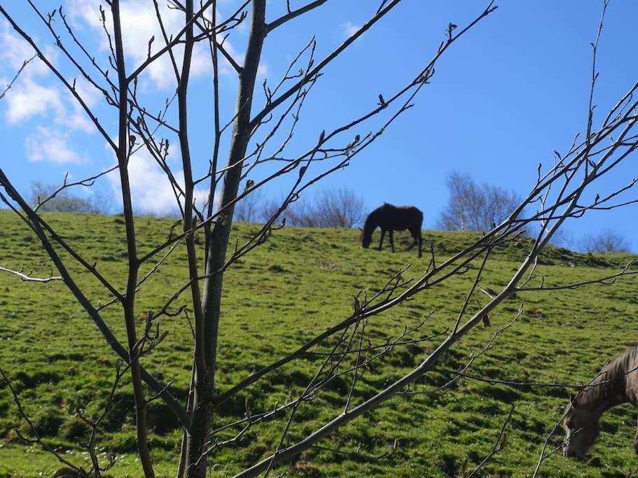Casa Rural Los Riveros De Jeromo Selaya Zewnętrze zdjęcie