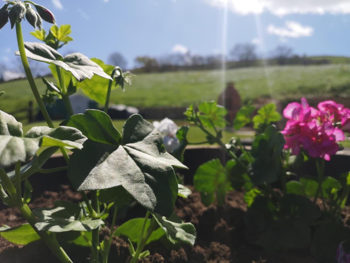 Casa Rural Los Riveros De Jeromo Selaya Zewnętrze zdjęcie
